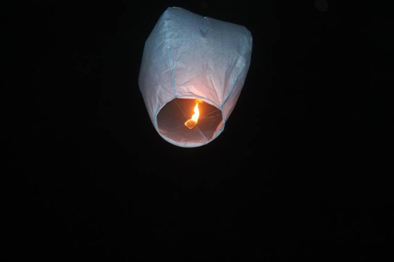 The NFU would like to see a total ban of sky lanterns across England and Wales to safeguard property and animals