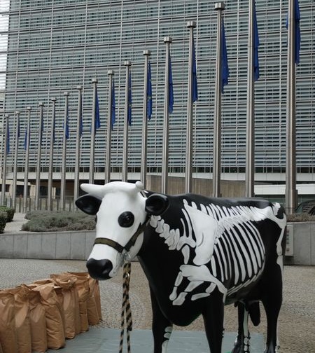 Dairy farmers protested with a model skeleton cow which they say help symbolise the sector being "stripped to the bone" (Photo: European Milk Board)