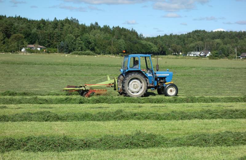 There are grass varieties with increased lipid (fat) content that encourage efficient livestock production