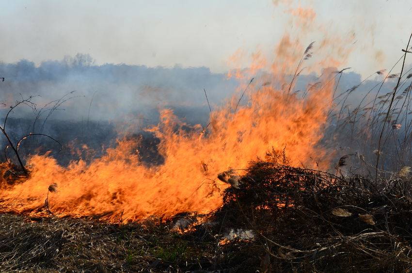 Farmers across the UK are seeing a rise in deliberate acts of fire starting on their land