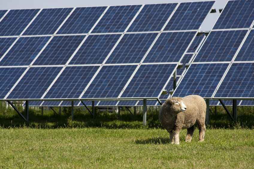 It is estimated that farmers own or host over half of the UK's solar power and AD capacity