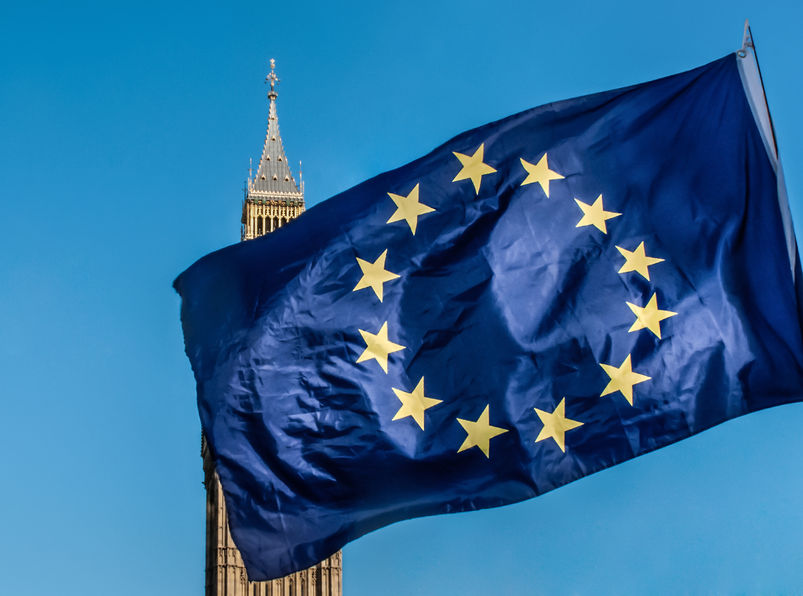 The agricultural industry has urged Brexit trade negotiators to consult with farming organisations and leaders before any negotiations are finalised