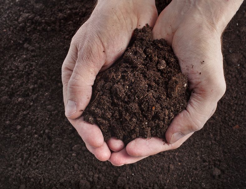 He said a new agri-environment scheme must be "new and simple" which rewards farmers for environmental work, particularly soil health