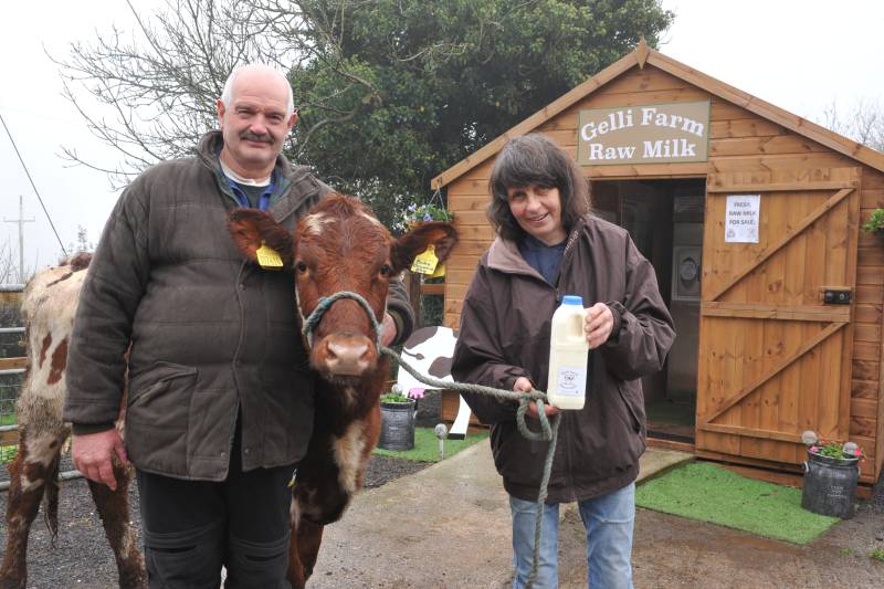 Robert and Kath Granville with Crummie, one of the last remaining pedigree Ayrshire herds in SE Wales