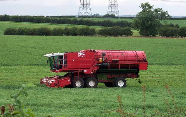 Brexit could provide opportunities for UK peas, a report has stated