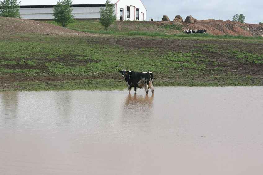 Over 70 people and a number of livestock and pets were rescued