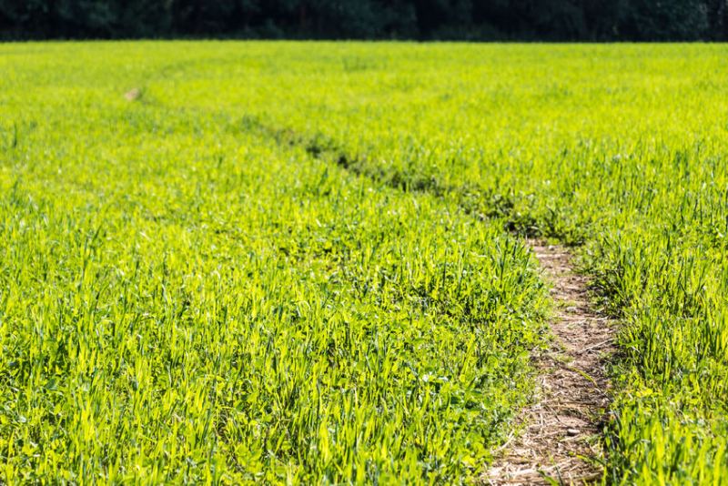 The NFU are trying raise awareness of the importance of accurately portraying the right of way network