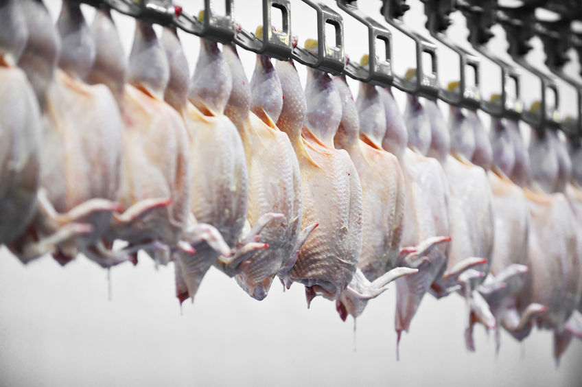 The poultry industry has said it is "completely unacceptable" that standards should be given up in order to secure a free trade deal with the United States