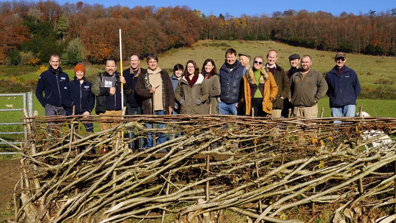 120,000km of hedgerows have been lost in Britain since the second World War