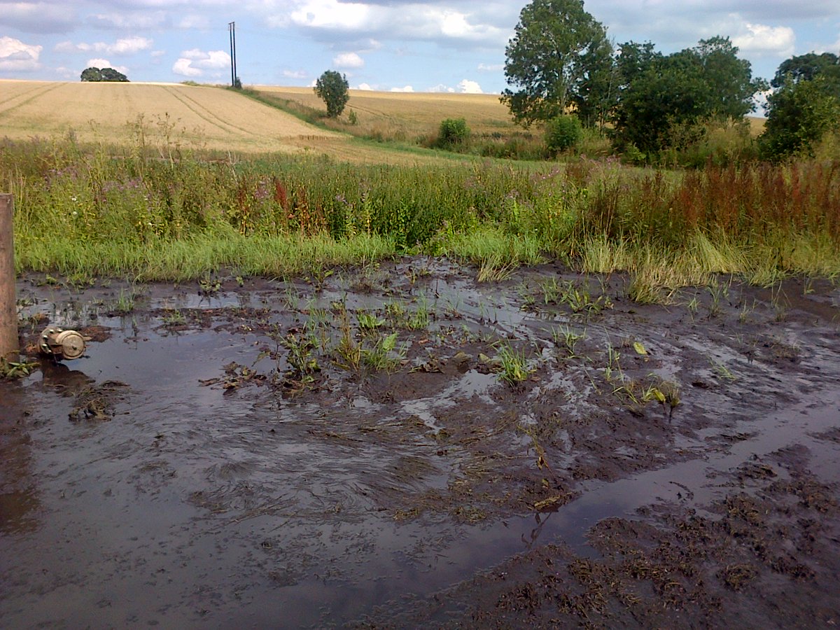 Pollution in the watercourse (Photo: Environment Agency)