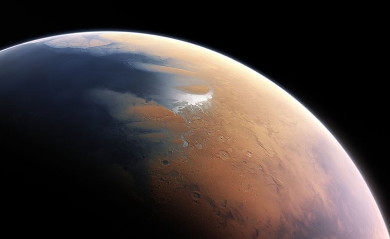 To feed future humans on Mars, a sustainable closed agricultural ecosystem is a necessity