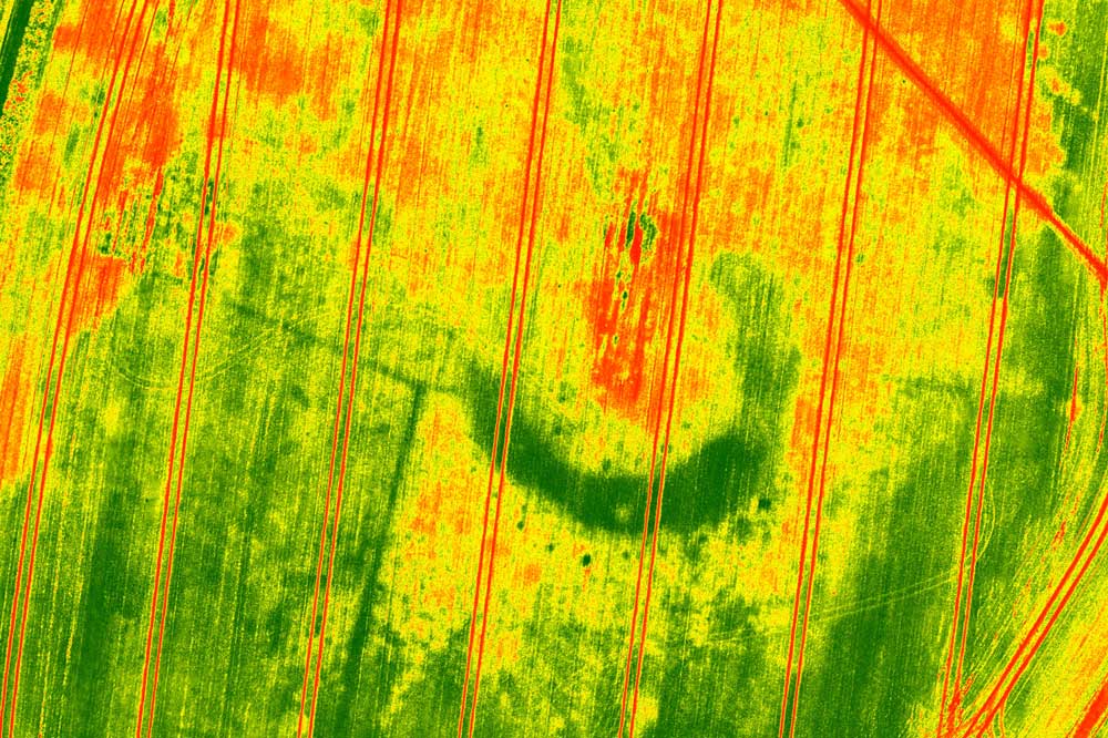 A multispectral image of a Neolithic henge and Roman farmstead in a field in Wiltshire (Photo: Bristol University)