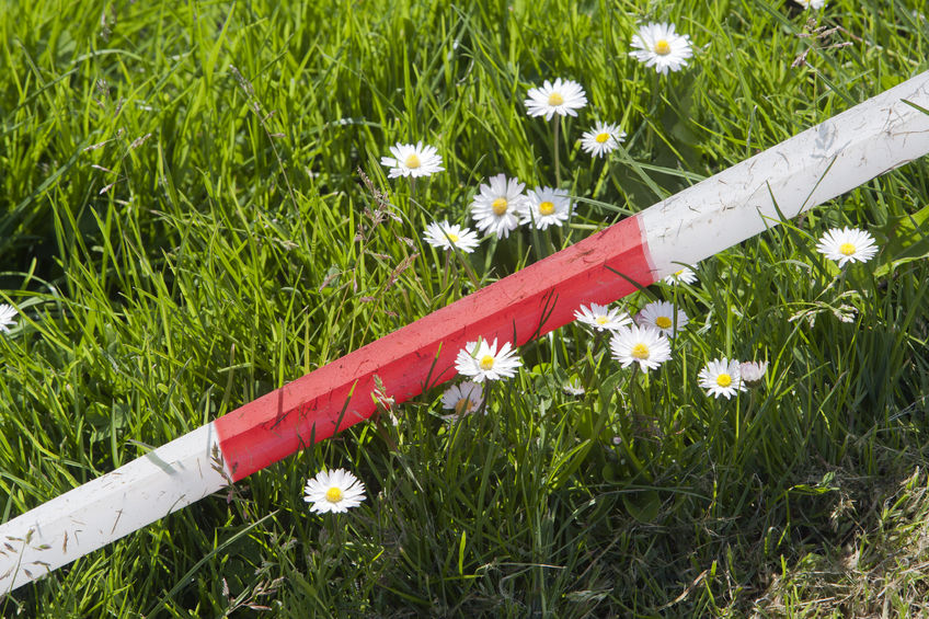 56 percent of people surveyed have been a victim of rural crime in the past 12 months