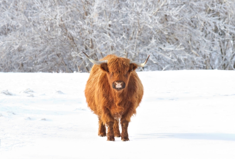 The Met Office warned that some rural communities could be cut off and power supplies interrupted