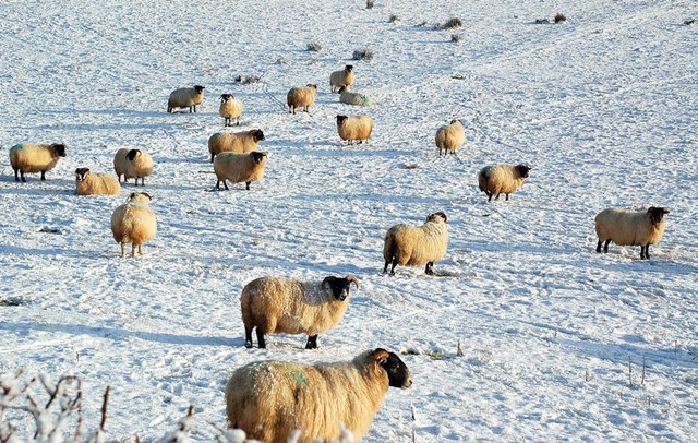 The Met Office has issued a further Yellow Warning for snow and ice over Monday and Tuesday