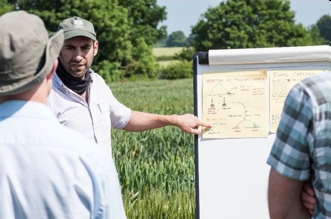 Dr Cristobal Uauy has been in the UK for eight years, and has helped develop genomic techniques