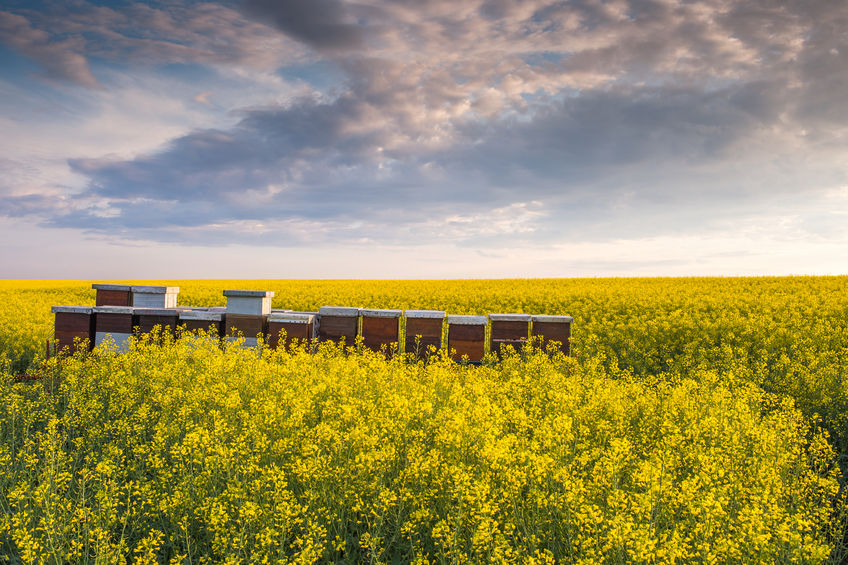 Farmers have asked a guarantee from Michael Gove to provide confidence to the sector