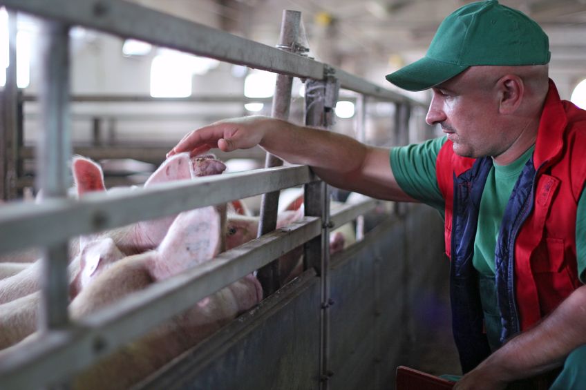   EU-wide animal by-product legislation states that feeding farmed animals with catering waste or feed material containing, or derived from, catering waste is illegal