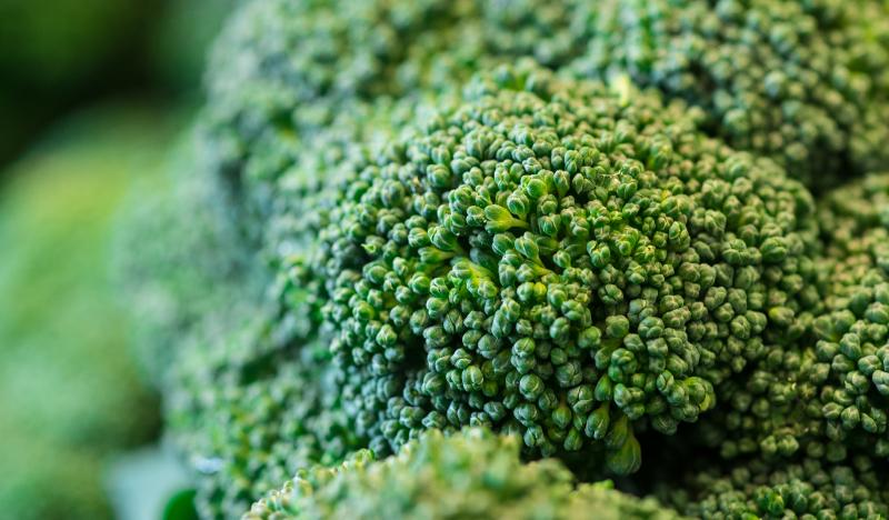 Brassica crops generated more than £356 million for UK agriculture last year