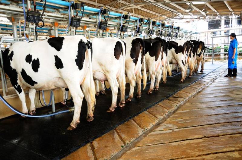 Dairy farmers have been through huge swings in dairy price volatility