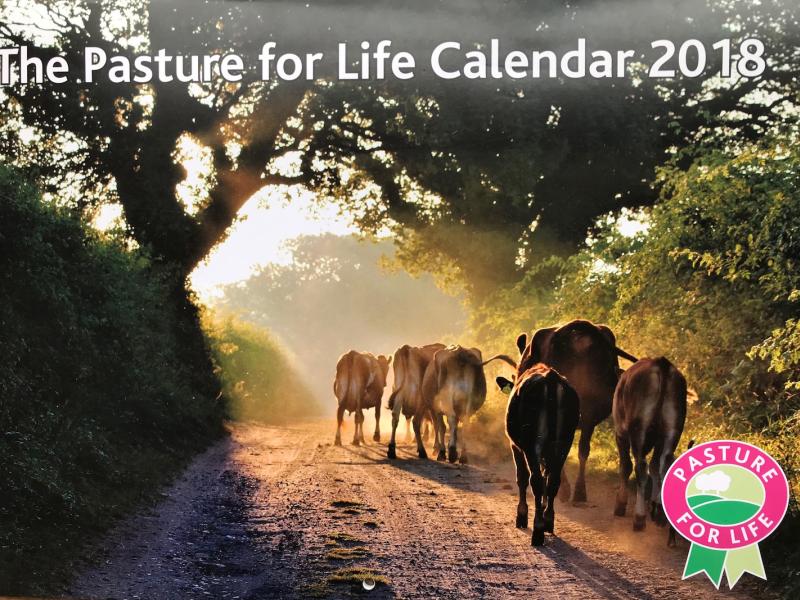 Fiona Provan’s photo of her Jersey cows on the calendar cover