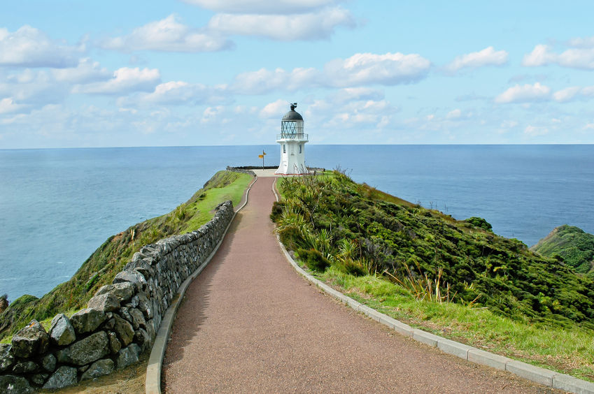 The trip will start at the very top of the North Island at Cape Reinga down to the southernmost tip of the South Island at Bluff