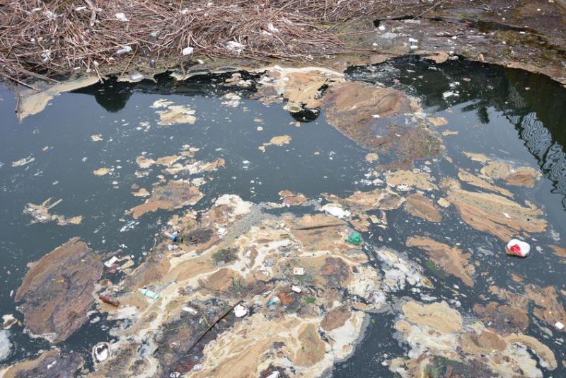 River pollution has cost a Devon farmer £9,500 (Stock photo)