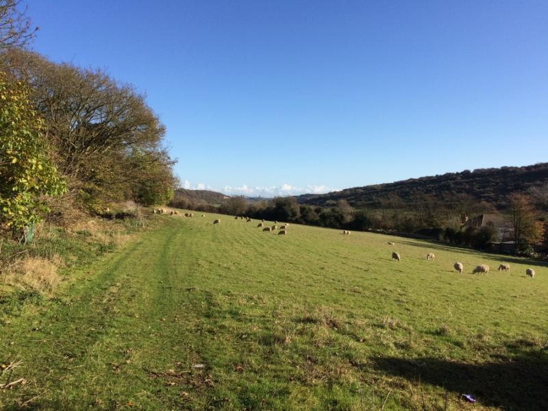 Farthingloe Valley, within the Kent Downs AONB (Photo: CPRE)