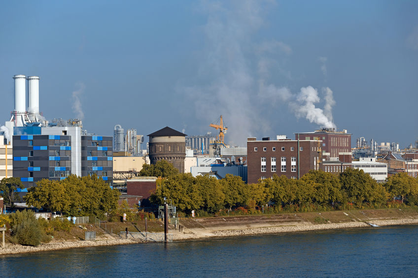 The plant is one of the world’s primary suppliers of vitamins and colourants