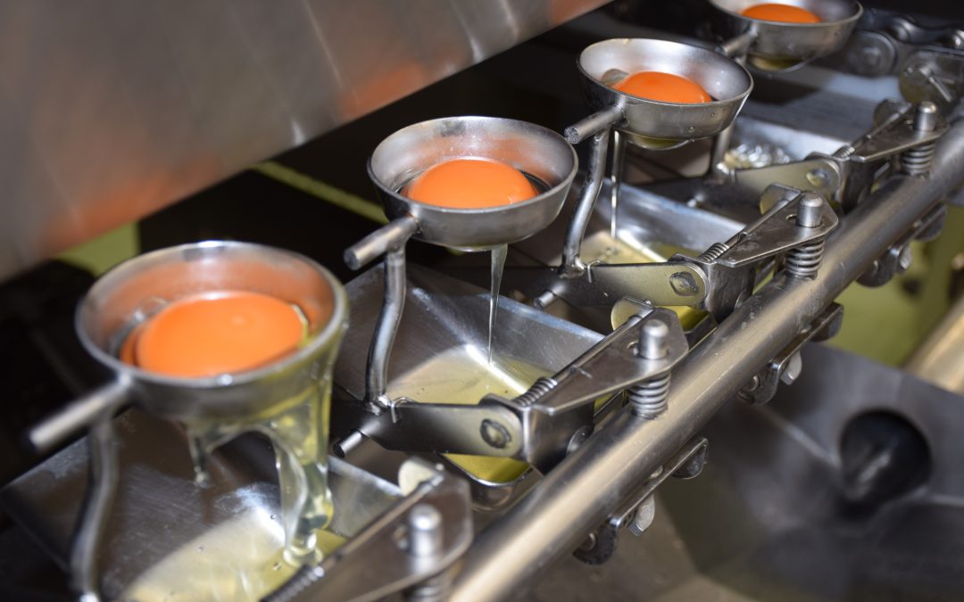 St Ewe's recently installed Pasteurising Plant (Photo: St Ewe's Free Range Eggs)