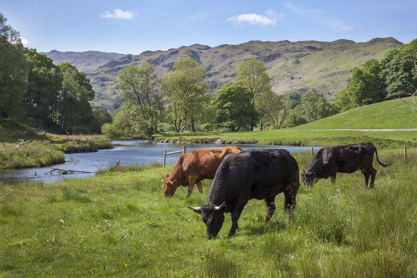 Farmers will help achieve the government's greener vision for the future by creating new habitats for wildlife and restoring degraded soils