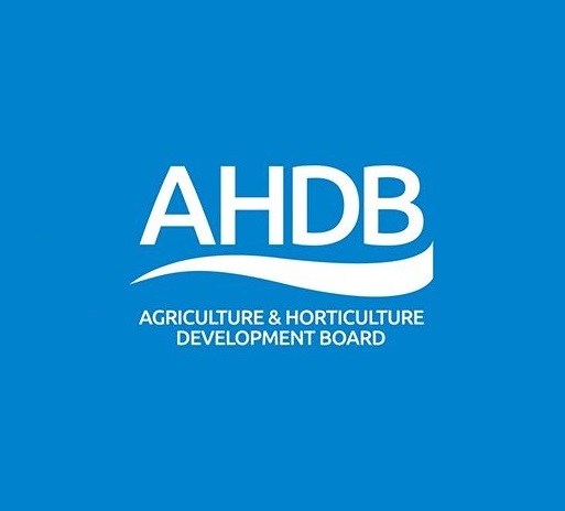 AHDB is to restructure its exports, trade and consumer marketing teams
