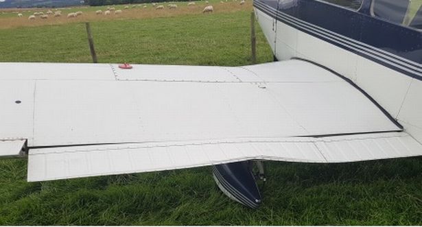 The plane hit sheep as it crash landed on farmland, damaging the left wing
