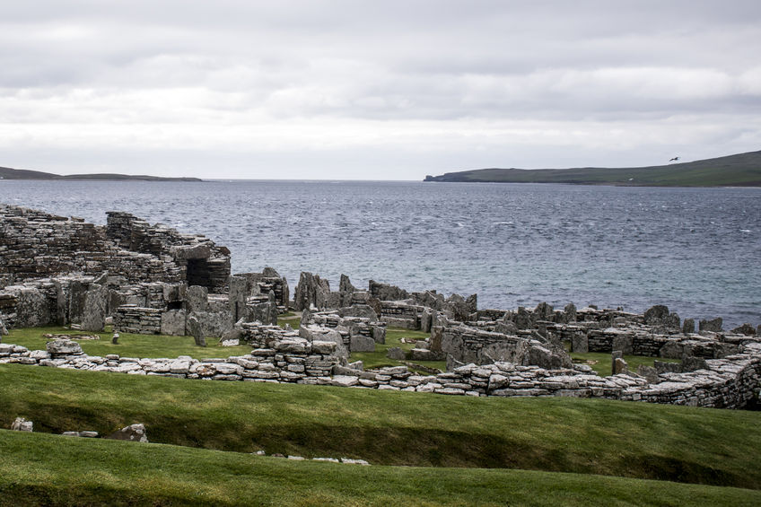 Orkney farmers are at risk of losing the PDO for Orkney Beef and Orkney Lamb without an abattoir