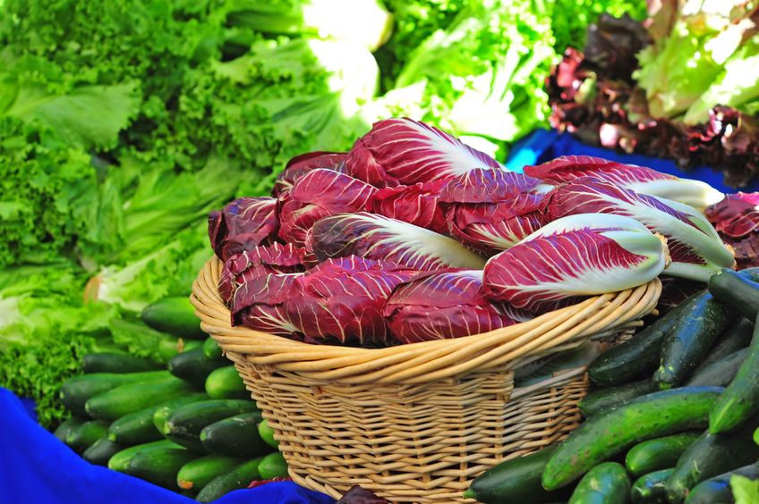 Farming and gardening activities in a communal setting can help those who are in need