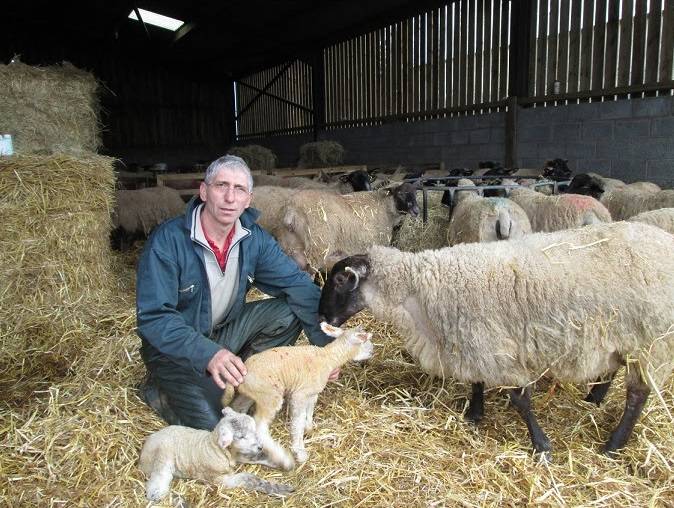 North Devon sheep farmer Bryan Griffiths has been announced as the new Chairman or the NSA