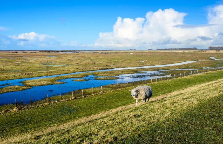 Farmers are feeling the strain due to the adverse weather that has hit Northern Ireland in the last few months