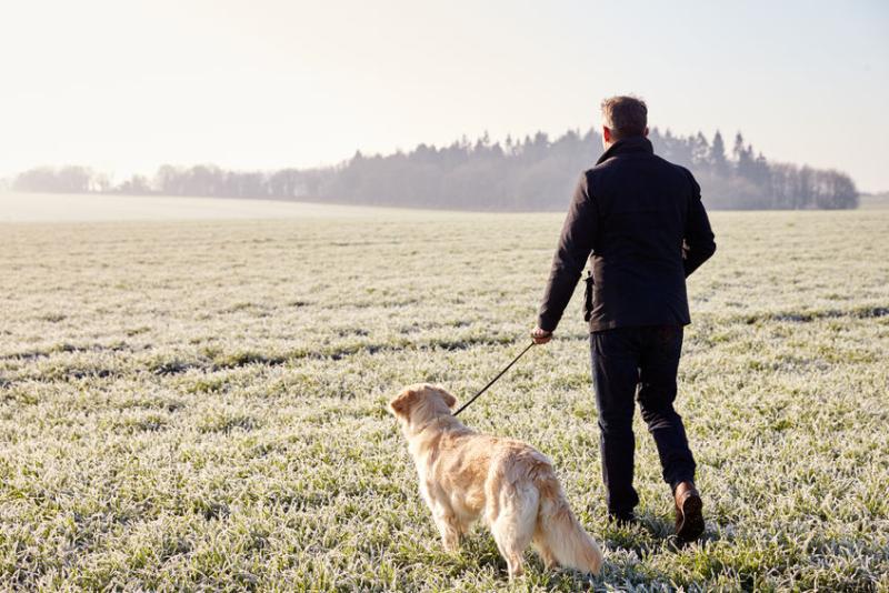 NFU Mutual has launched a campaign urging dog owners to keep their pets on a lead at all times