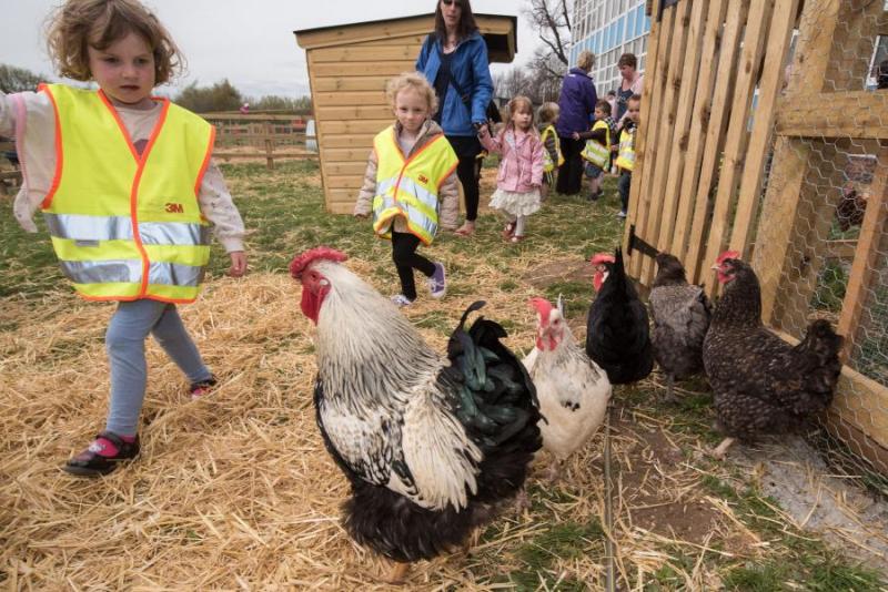 The farming industry has said food production should be a core part of the national school curriculum