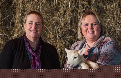 First female chair in 178 years takes the reins of Dorset Agricultural Society   