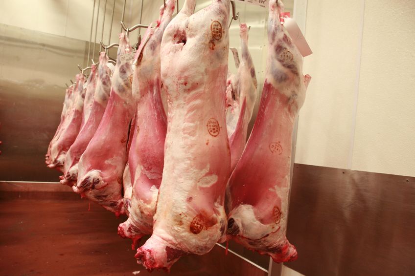 The report has concluded that a mobile abattoir, which comes to farms periodically, would help