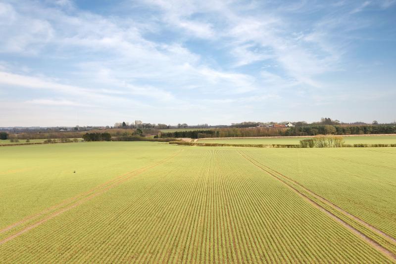 The farm is one of the largest commercial arable holdings to be made available in Lincolnshire in last 20 years (Photo: Savills)
