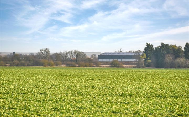 The farm spans over 3,204 acres (Photo: Savills)