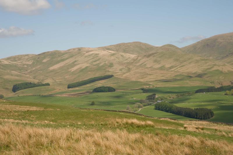 The search is now on for Scotland's 'finest farm woodlands'
