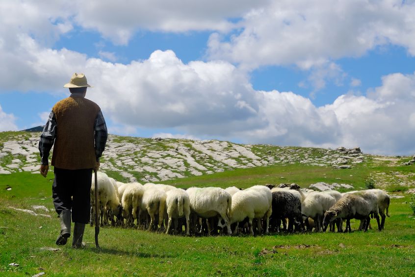 The Prime Minister complimented "hard-working farmers" today during Prime Minister's Questions