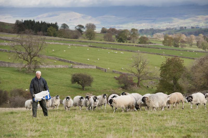 "Farmers miss parties, weddings and funerals for the care of their livestock. I have never met anyone as sacrificing as the farmers in my community" (Photo: FLPA/REX/Shutterstock)