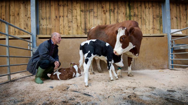 David Finlay and his wife Wilma said their goal is to achieve the "highest ethical standards possible"