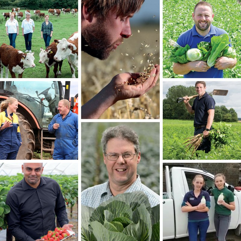 Farmers have been posing pictures and videos showcasing the work they do (Photo: NFU)