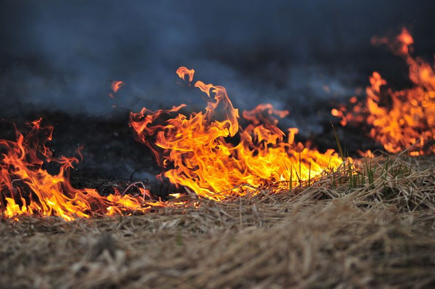 Firefighters have called on farmers to help tackle grass fires in south Wales