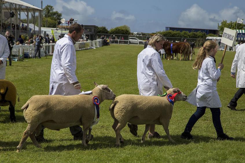 The Farmers' Union of Wales has reminded farmers of Quarantine Unit requirements ahead of show season